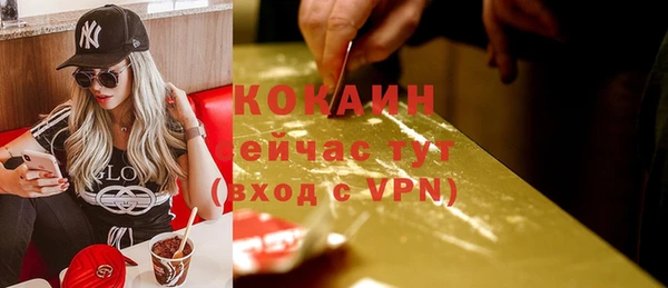 ALPHA PVP Осинники
