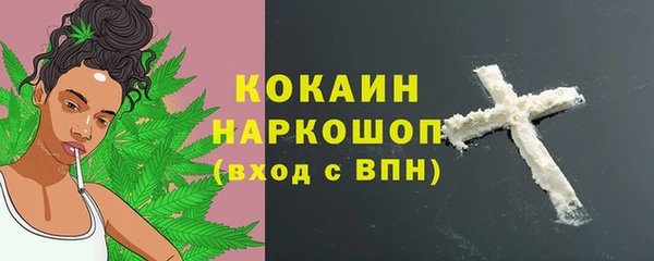 ALPHA PVP Осинники