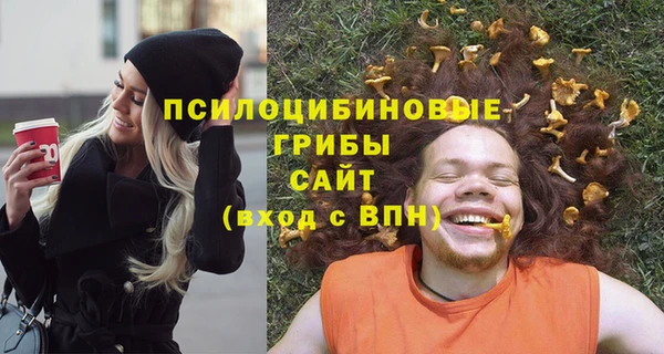 спайс Ельня