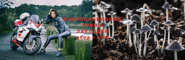 ALPHA PVP Осинники