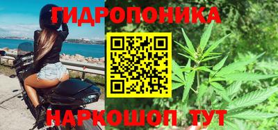 гидра Берёзовский