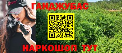 стафф Бийск