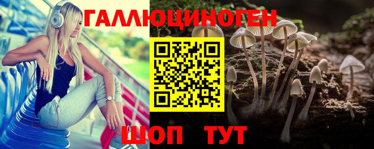 где продают наркотики  Псилоцибиновые грибы прущие грибы  Вход с VPN  Красноуфимск  Псилоцибиновые грибы ЛСД 