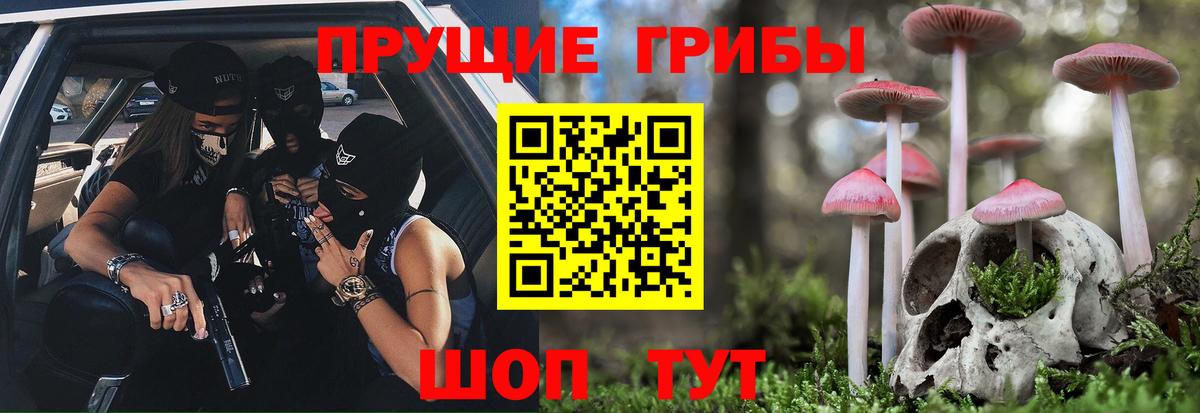 купить наркотики цена  Красноуфимск  Псилоцибиновые грибы Psilocybine cubensis  Псилоцибиновые грибы Magic Shrooms 